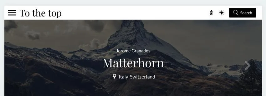 The Search Section
